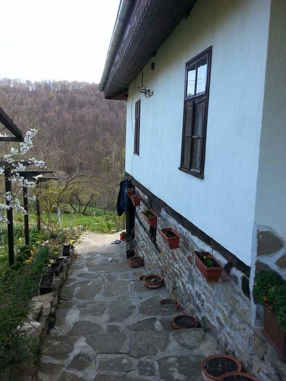 Къща За Гости Ножери Triavna Exterior foto